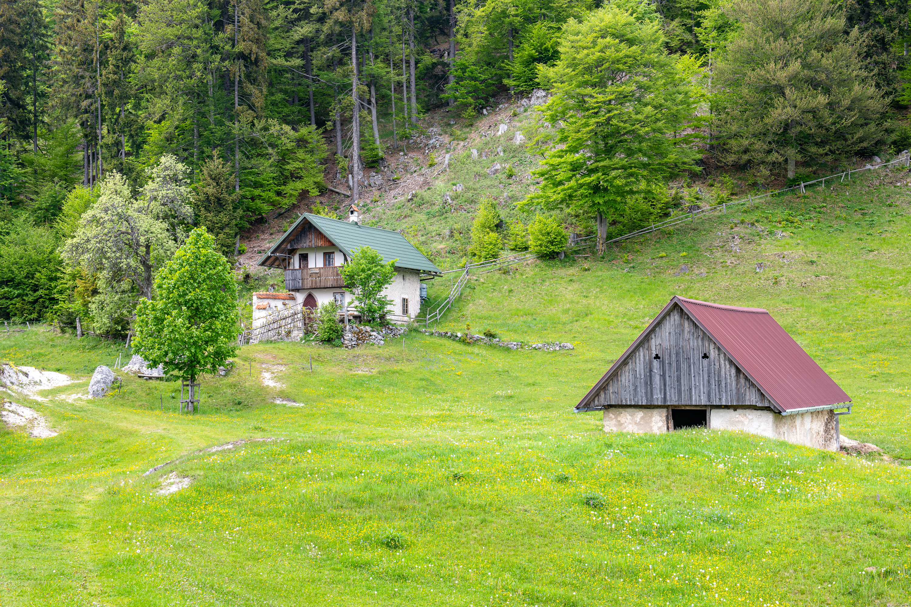 slika 14.JPG
